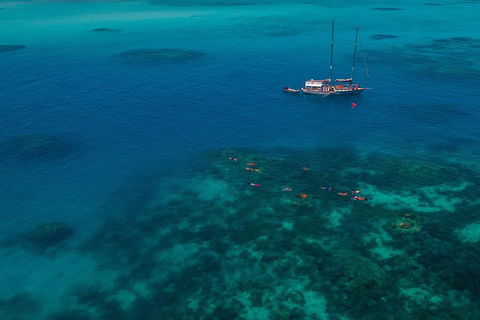 Ocean Free Green Island & Great Barrier Reef Snorkel Cruise, Cairns 25 Guests - Hotel Gold Coast 5