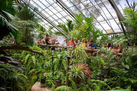 Australian Butterfly Sanctuary - Hotel Gold Coast 0