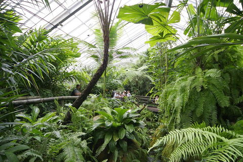 Australian Butterfly Sanctuary - Hotel Gold Coast 3