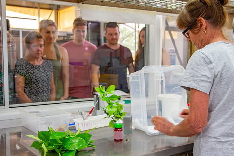 Australian Butterfly Sanctuary - Hotel Gold Coast 5