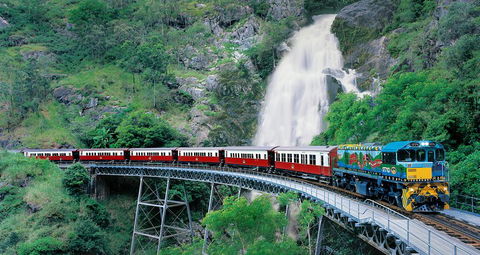 Classic Kuranda By Skyrail And Scenic Railway Including Rainforestation, Koala And Wildlife Park And Pamagirri Aboriginal Experi - Hotel Gold Coast 1