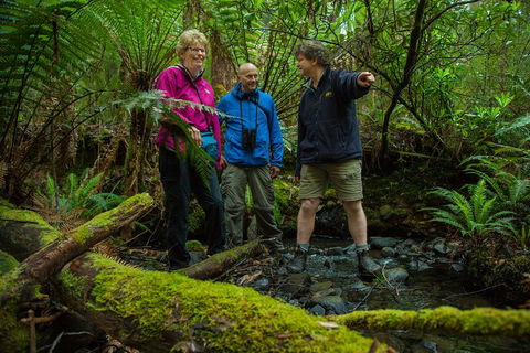 Bruny Island Traveller - Gourmet Tasting And Sightseeing Day Trip From Hobart - Hotel Gold Coast 1