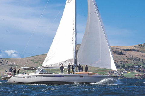 Half-Day Sailing On The Derwent River From Hobart - Hotel Gold Coast 1