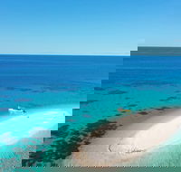 Ocean Safari Great Barrier Reef Experience in Cape Tribulation - Hotel Gold Coast