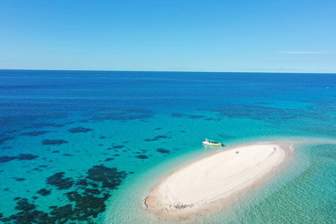 Ocean Safari Great Barrier Reef Experience In Cape Tribulation - Hotel Gold Coast 0