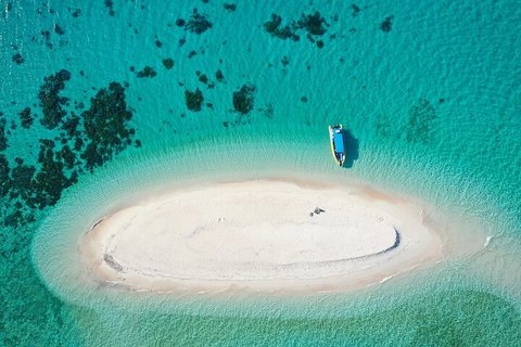Ocean Safari Great Barrier Reef Experience In Cape Tribulation - Hotel Gold Coast 3