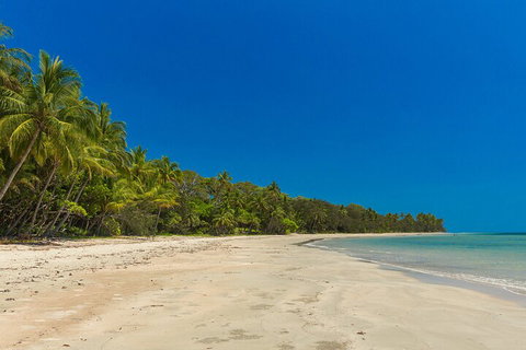 Ocean Safari Great Barrier Reef Experience In Cape Tribulation - Hotel Gold Coast 4