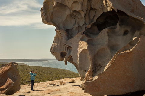 Kangaroo Island In A Day Tour From Adelaide - Hotel Gold Coast 5
