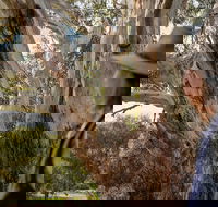 NEW TOUR - Kangaroo Island Road to Recovery Tour 1 Day/1 Night - Hotel Gold Coast