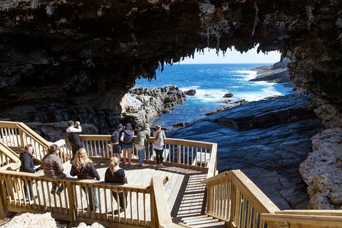 Full Day Flinders Chase Tour From Kangaroo Island - Hotel Gold Coast 1