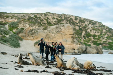 Small-Group Kangaroo Island 4WD Tour From Adelaide - Hotel Gold Coast 4