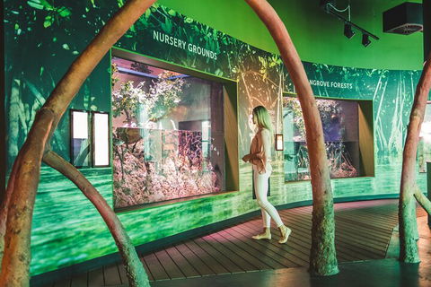 Cairns Aquarium Marine Life Encounter Ticket With 2-Course Lunch - Hotel Gold Coast 3