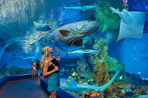 Cairns Aquarium Admission Ticket - Hotel Gold Coast 3