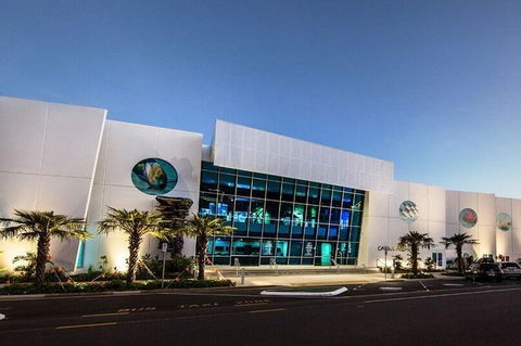 Cairns Aquarium Admission Ticket - Hotel Gold Coast 4