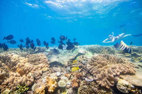 Outer Reef Pontoon Experience From Cairns - Hotel Gold Coast 4