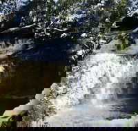 Cradle Mountain Day Tour from Launceston Including Lunch - Hotel Gold Coast