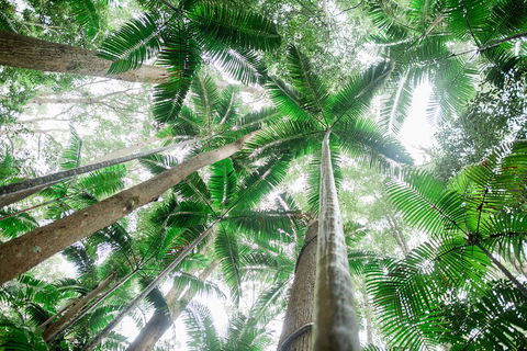 Fraser Explorer K'gari 2-Day Tour - Hotel Gold Coast 2