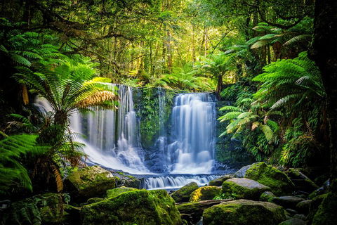 Day Tour In Mt. Field, Mt. Wellington, Bonorong Wildlife Sanctuary And Richmond - Hotel Gold Coast 0