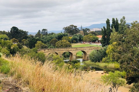 Day Tour In Mt. Field, Mt. Wellington, Bonorong Wildlife Sanctuary And Richmond - Hotel Gold Coast 3