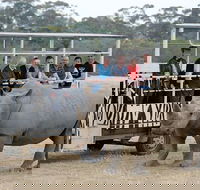 Off-Road Safari at Werribee Open Range Zoo - Hotel Gold Coast