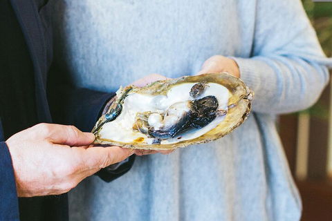 Half-Day Willie Creek Pearl Farm Tour With Helicopter Flight - Hotel Gold Coast 3