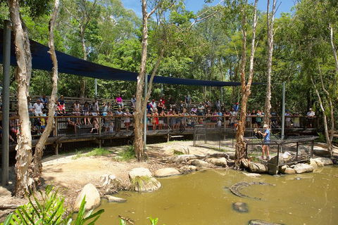 Hartley's Crocodile Adventures Breakfast With The Koalas - Hotel Gold Coast 1