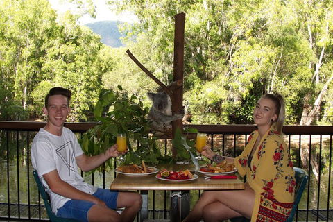 Hartley's Crocodile Adventures Breakfast With The Koalas - Hotel Gold Coast 5