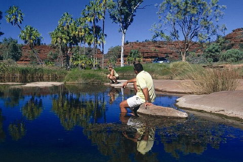 Palm Valley 4WD Day Tour - Hotel Gold Coast 1