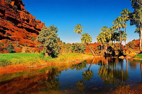 Palm Valley 4WD Day Tour - Hotel Gold Coast 2