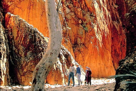West MacDonnell Ranges Day Trip From Alice Springs - Hotel Gold Coast 3