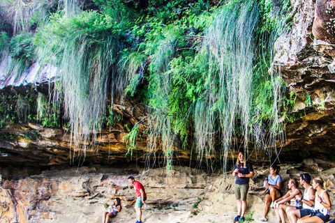 Sunset Blue Mountains Wilderness & Wildlife Tour Without The Crowds - Hotel Gold Coast 1