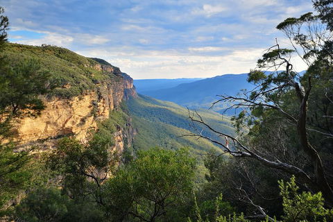 Sunset Blue Mountains Wilderness & Wildlife Tour Without The Crowds - Hotel Gold Coast 2