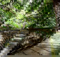 12 Apostles Eco-Friendly Great Ocean Road Iconic Adventure from Melbourne - Hotel Gold Coast