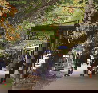 Adelaide Highlights Hahndorf  McLaren Vale Wine Tasting and Sightseeing Tour - Hotel Gold Coast