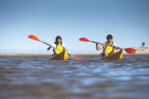 Kangaroo Island Self-Guided Kayaking On The Harriet River - Hotel Gold Coast 2