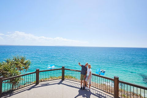Noosa Everglades Serenity Cruise & Highlights Tour Inc. Lunch & Cruise - Hotel Gold Coast 3