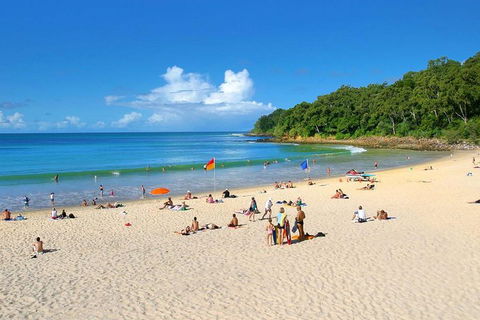 Noosa Everglades Serenity Cruise & Highlights Tour Inc. Lunch & Cruise - Hotel Gold Coast 4