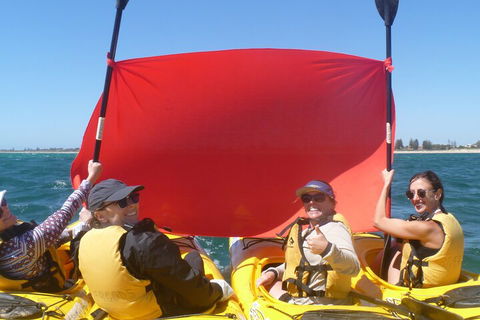 Seal Island And Penguin Island Or Point Peron Sea Kayak Tour - Hotel Gold Coast 2