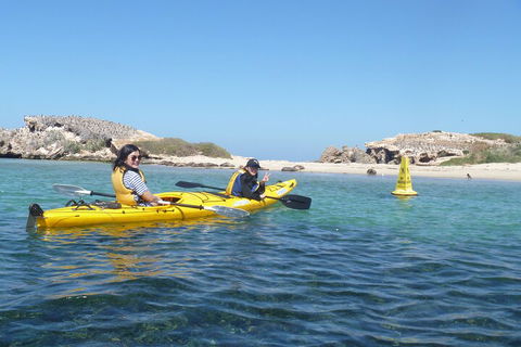 Seal Island And Penguin Island Or Point Peron Sea Kayak Tour - Hotel Gold Coast 3