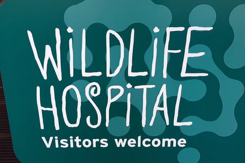 Healesville Sanctuary And Rayners Orchard Tour From Melbourne - Hotel Gold Coast 1