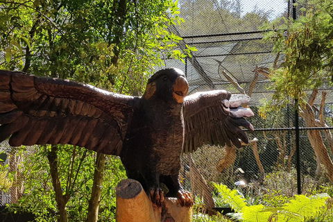 Healesville Sanctuary And Rayners Orchard Tour From Melbourne - Hotel Gold Coast 2