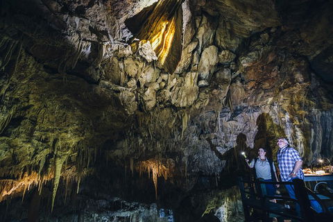 Ngilgi Cave Semi-guided Tour - Hotel Gold Coast 0