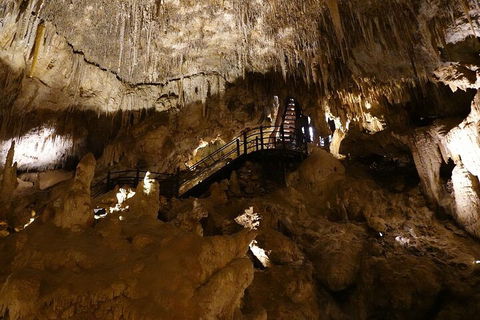 Ngilgi Cave Semi-guided Tour - Hotel Gold Coast 2