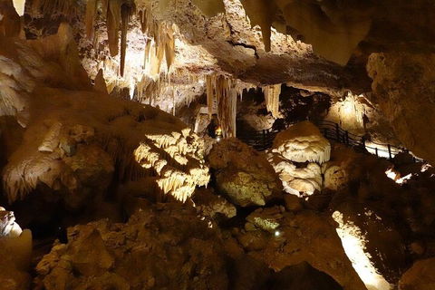 Ngilgi Cave Semi-guided Tour - Hotel Gold Coast 3