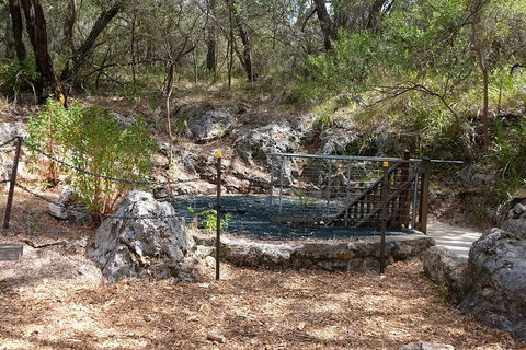 Ngilgi Cave Semi-guided Tour - Hotel Gold Coast 4