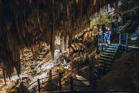 Ngilgi Cave Semi-guided Tour - Hotel Gold Coast 5