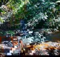 Aquaduck  Your choice of Gold Coast Rainforest Tour - Hotel Gold Coast