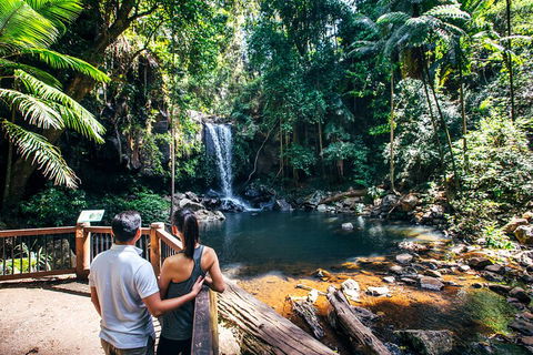 Aquaduck & Your Choice Of Gold Coast Rainforest Tour - Hotel Gold Coast 0