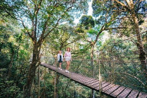 Aquaduck & Your Choice Of Gold Coast Rainforest Tour - Hotel Gold Coast 4