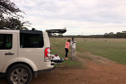 Kangaroo Island 4WD Tour - Flinders Chase - Hotel Gold Coast 3